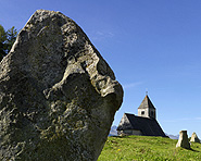Parc la Mutta