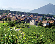 Wakkerdorf Fläsch Wakkerdorf Fläsch