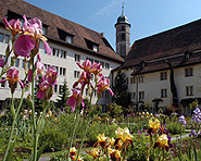 Musée jurassien des sciences naturelles
