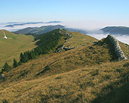 Le sommet du Parc régional Chasseral