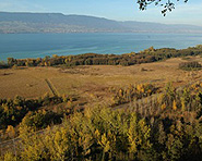 Grande Cariçaie Grande Cariçaie