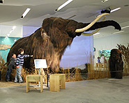 Naturama Naturama