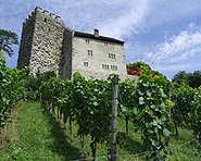 Schloss Habsburg Schloss Habsburg