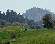 The Napf The Napf
