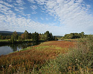 Vallée de Joux