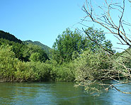 St-Ursanne sur le Doubs