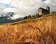 Riom Castle Riom Castle