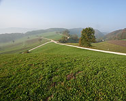 Dans le Jura entre l’Aar et le Rhin