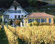 Vinothek Viniterra Bielersee Vinothek Viniterra Bielersee