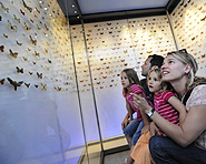 Liechtensteinisches Landesmuseum Liechtensteinisches Landesmuseum