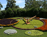 L'orologio fiorito