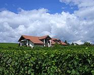 Domaine en Chantemerle