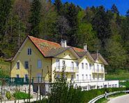 Fondation du Grain de blé