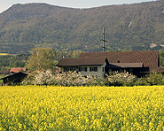 B&B Aarhof