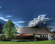 Agriturismo, Camping e Scuderia Biologica 