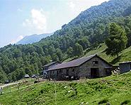 Agriturismo Alpe Zalto