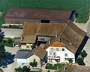 B&B Duc