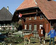 Ferien auf dem Bauernhof Nyffeler Ferien auf dem Bauernhof Nyffeler