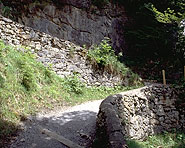 Rüti–Braunwald