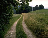 Willisauer Landstrasse Willisauer Landstrasse