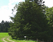 Brüelhohle (Heimiswil) Brüelhohle (Heimiswil)