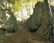 Auch auf dem Jakobsweg wurde gemordet Auch auf dem Jakobsweg wurde gemordet