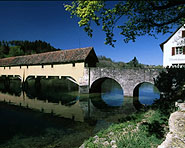 Rheinau-Brücke: vom Klettgau ins Thurgau