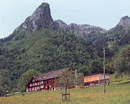 Ferien auf dem Bauernhof Brülisauer Ferien auf dem Bauernhof Brülisauer