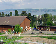 Schlaf im Stroh Lützelhof
