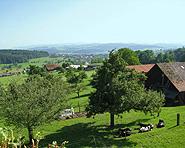 Ferien auf dem Bauernhof Hollenstein-Stadler Ferien auf dem Bauernhof Hollenstein-Stadler
