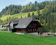 Ferien auf dem Bauernhof Stettler