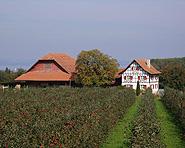Ferien auf dem Bauernhof Bührer