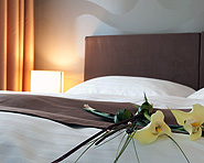 Hotel Uzwil Hotel Uzwil