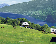 Schlaf im Stroh / Ferien auf dem Bauernhof Bühler Schlaf im Stroh / Ferien auf dem Bauernhof Bühler