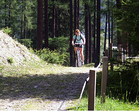 Landschaft und Trails geniessen Landschaft und Trails geniessen