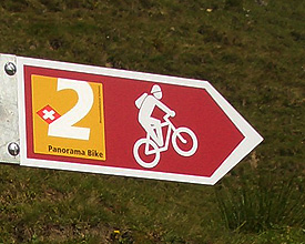 Signalization Signalization