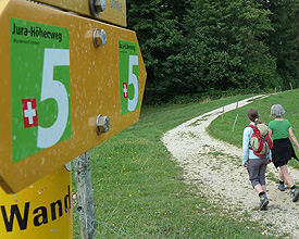 Wegweisung
