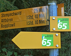 Signalization Signalization