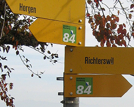 Signalization Signalization